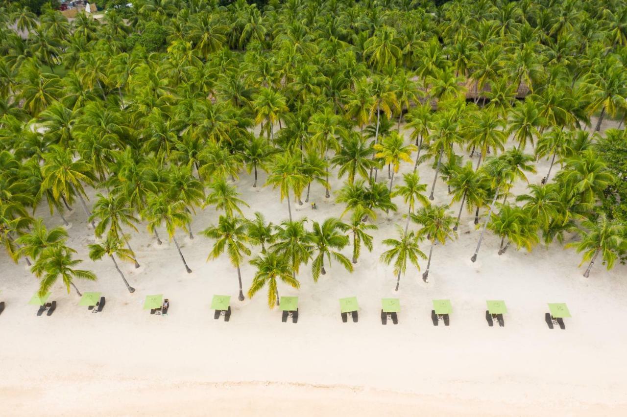 Oceanica Resort Panglao, Bohol Exteriör bild Palm trees on the beach