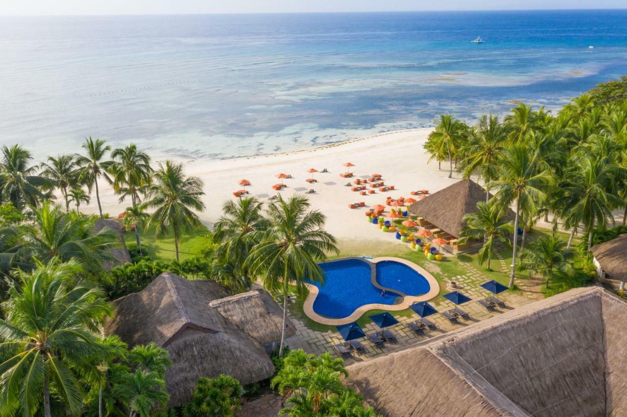 Oceanica Resort Panglao, Bohol Exteriör bild Aerial view of the beach at the resort