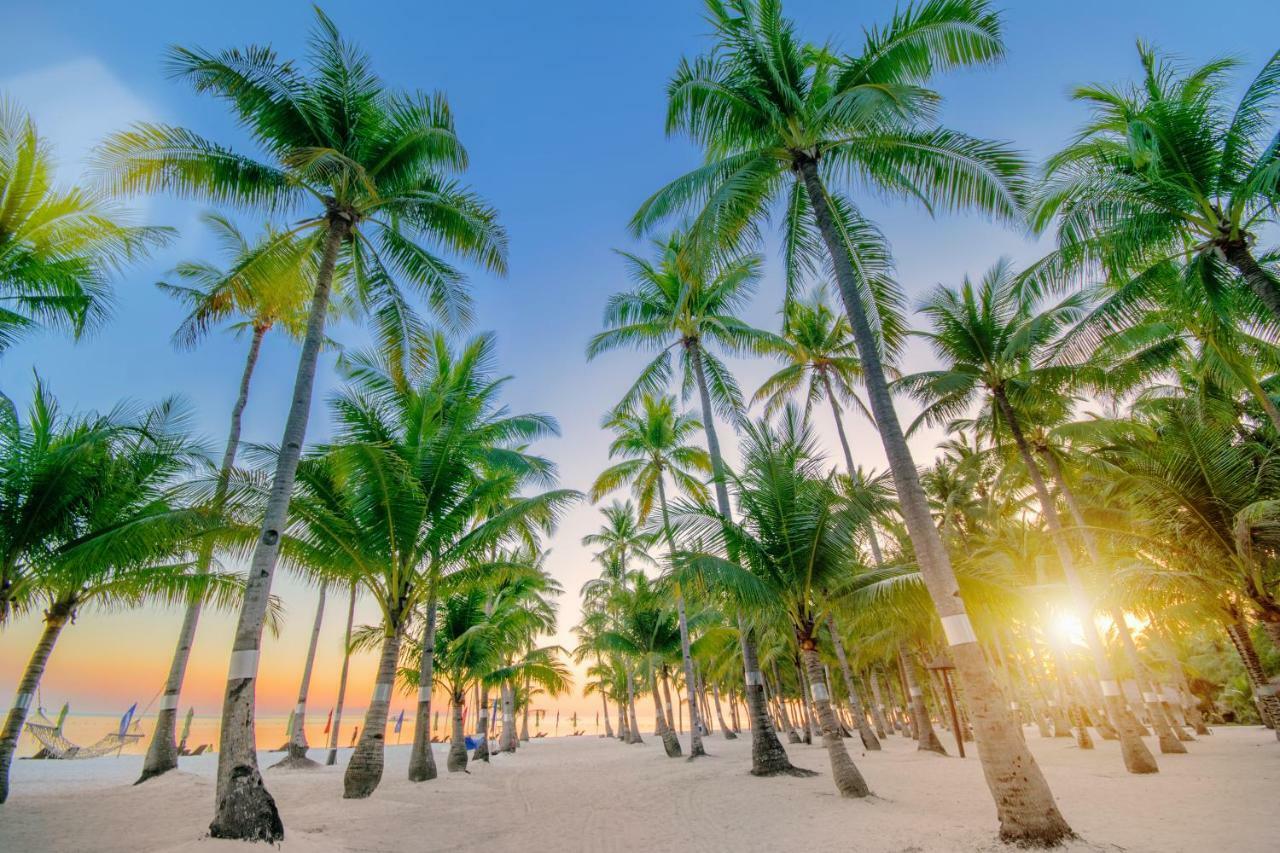 Oceanica Resort Panglao, Bohol Exteriör bild Palm trees on a beach